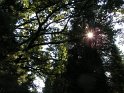 pict3750 (web)